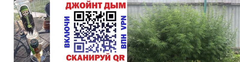 Марихуана планчик  MEGA как зайти  Городец 
